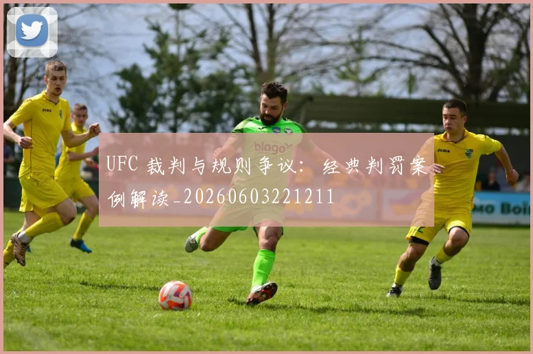UFC 裁判与规则争议：经典判罚案例解读_20260603221211