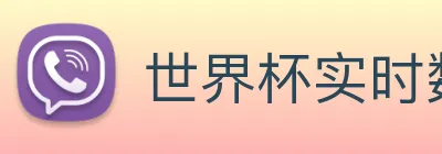 世界杯实时数据查询网 Logo